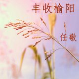 丰收榆阳