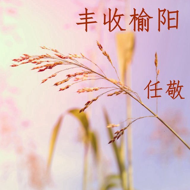 丰收榆阳