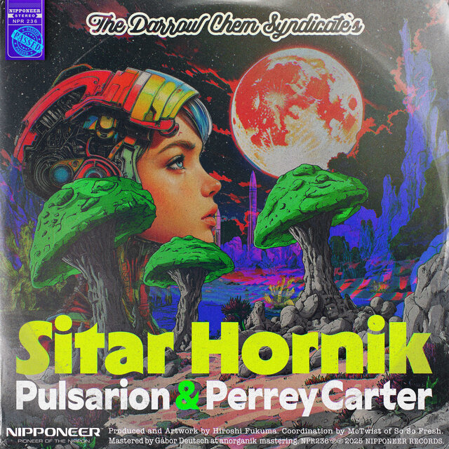 Sitar Hornik (Pulsarion & Perrey Carter Remix)