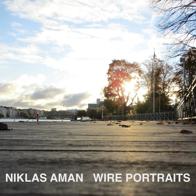 Wire Portraits