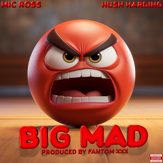Big Mad (feat. Hush Harding)
