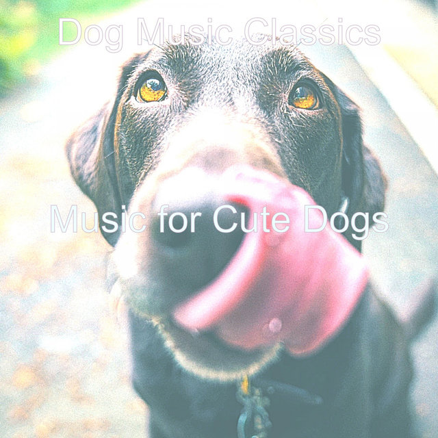 Music for Cute Dogs