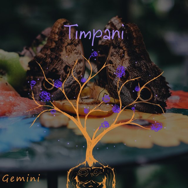 Gemini