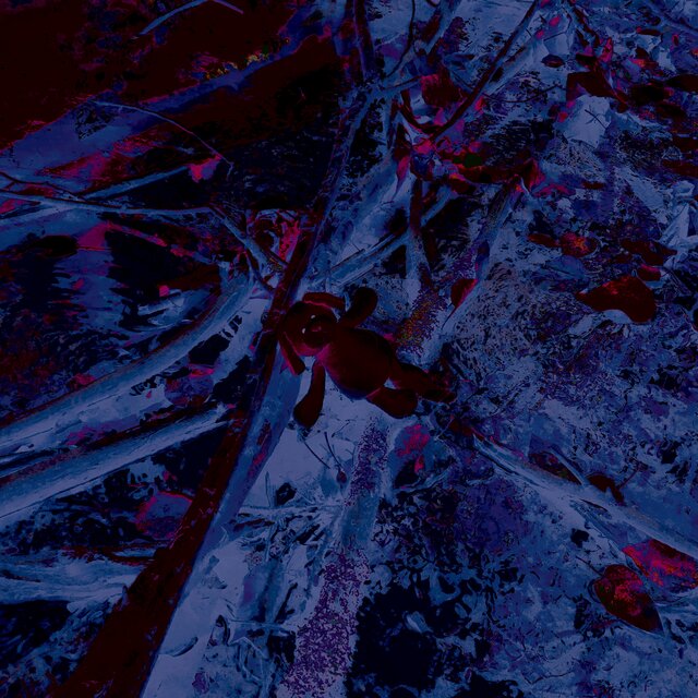 Demos