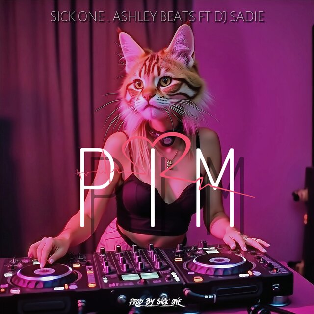 PIM (Radio Edit)