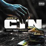 CTN (Cant Trust Nobody)