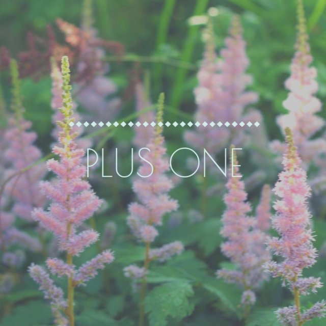 Plus One EP