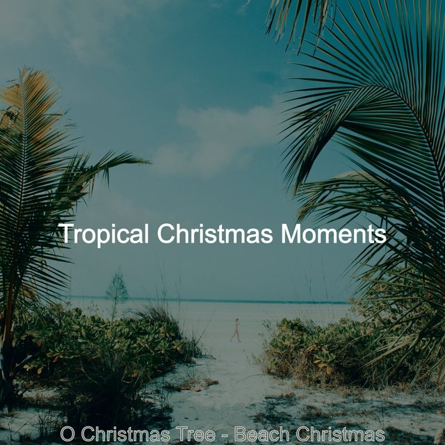 O Christmas Tree - Beach Christmas