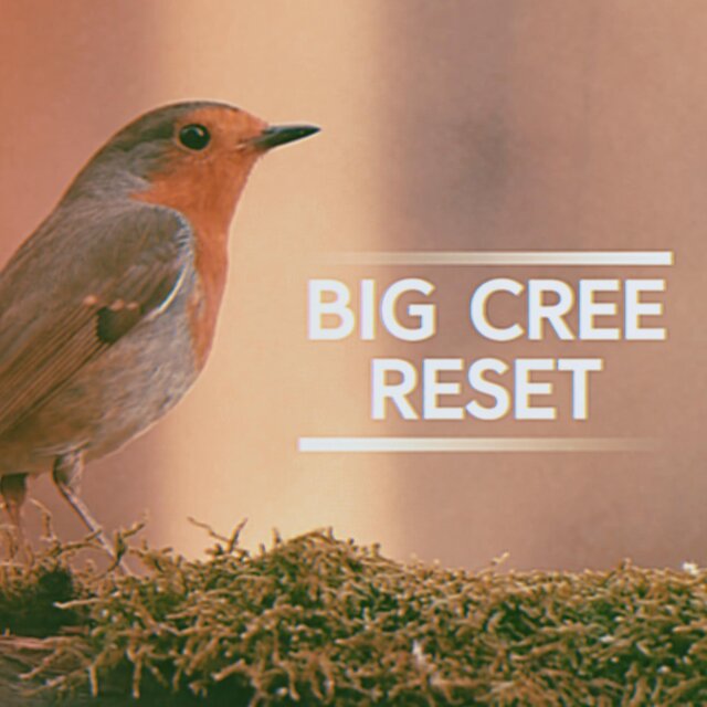 Reset