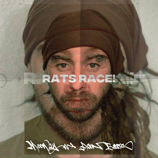 Rats Race