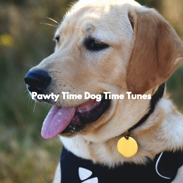 Pawty Time Dog Time Tunes