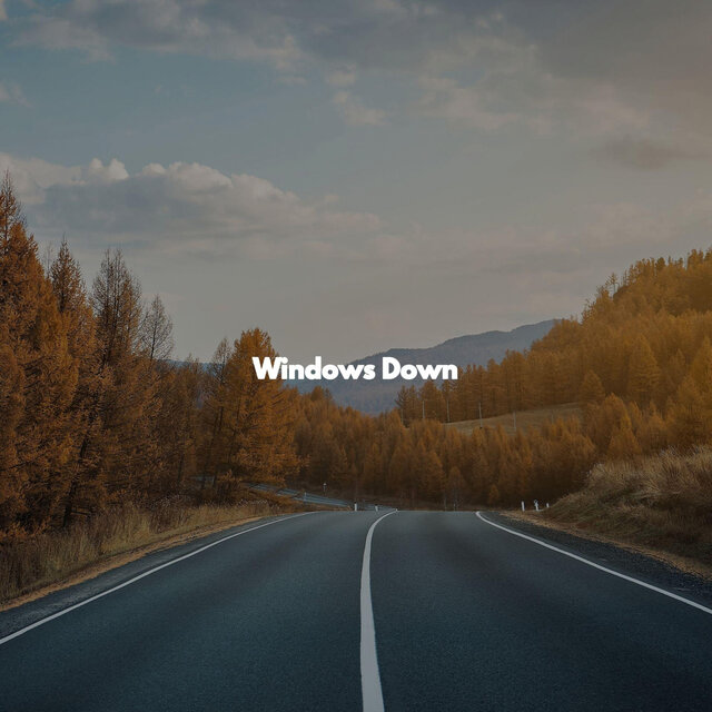 Windows Down