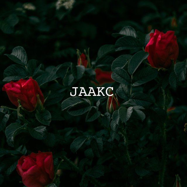 Jaakc
