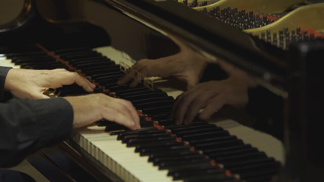 The Wings Suite, Op. 16, No. 3: Araras