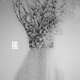 Cover art for album Zău by Negura Bunget