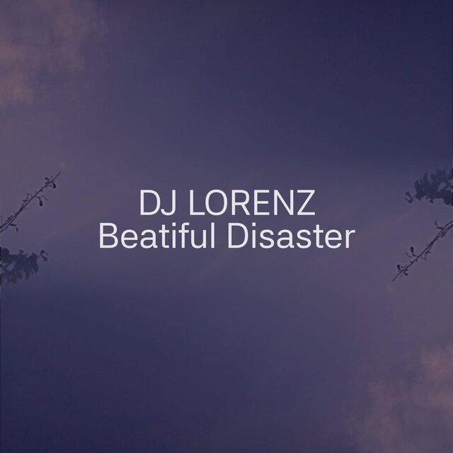 Beatiful Disaster