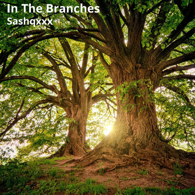 In the Branches