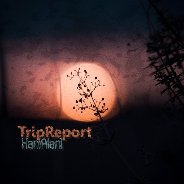 TripReport
