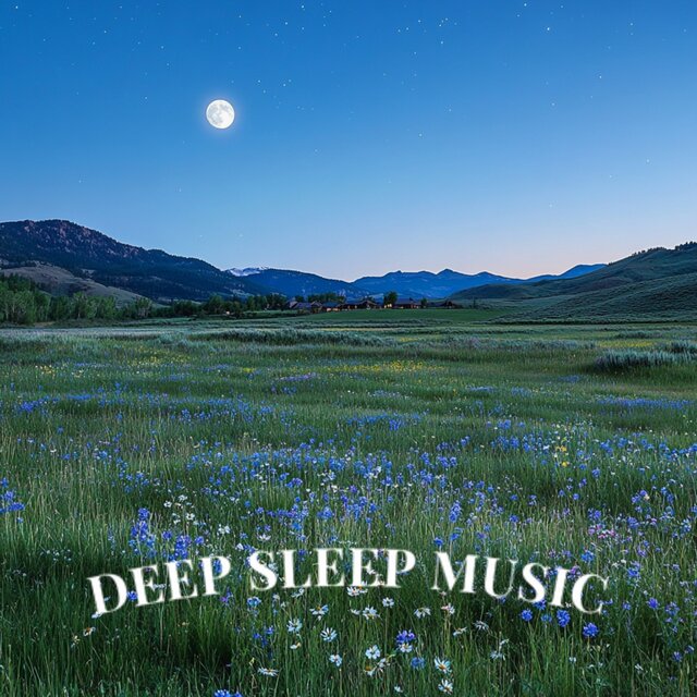 Serene Summer Dreams for Restful Sleep
