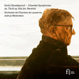 Chamber Symphony in F Major, Op. 73a: IV. Adagio 