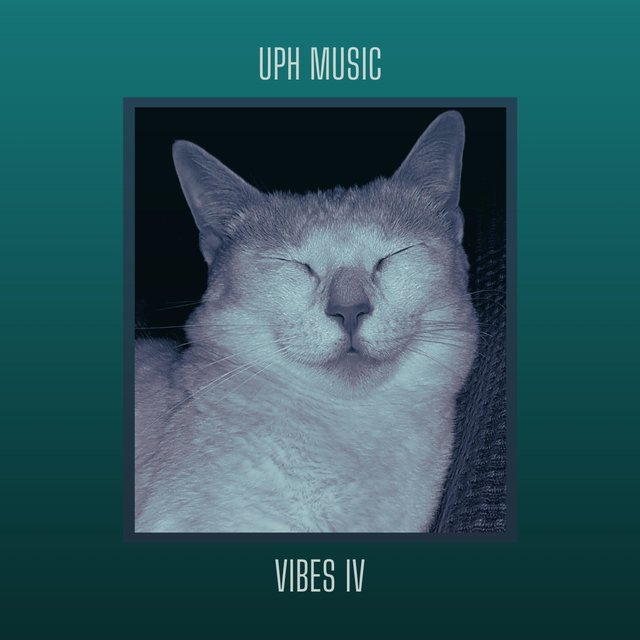 Vibes IV