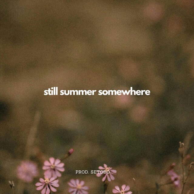 still summer somewhere