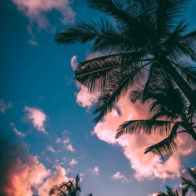 Days of Summer