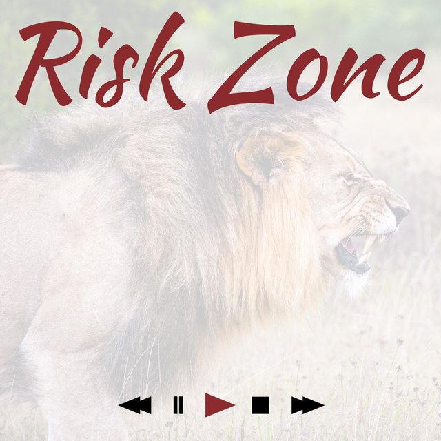 Risk Zone