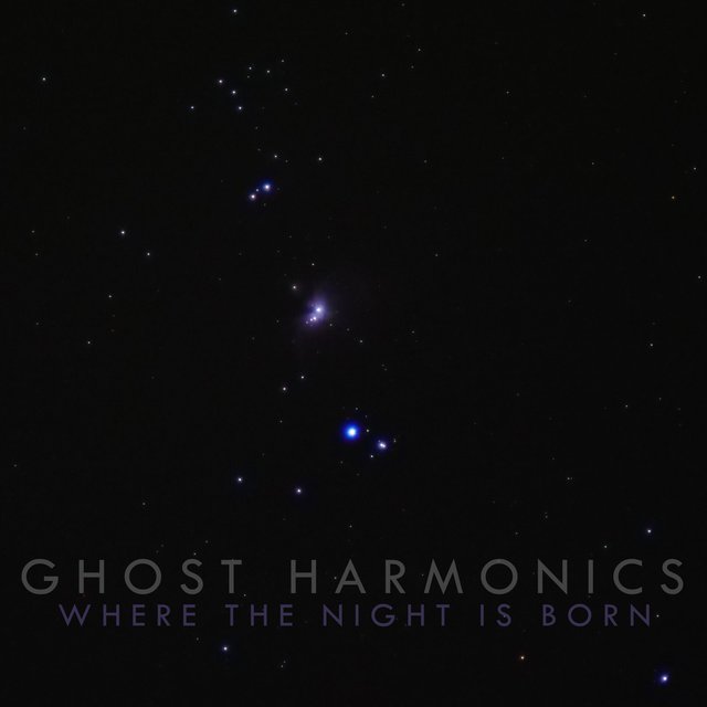 Where the Night Is Born