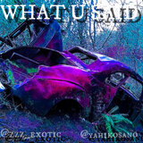 WHAT U SAID (feat. marric)