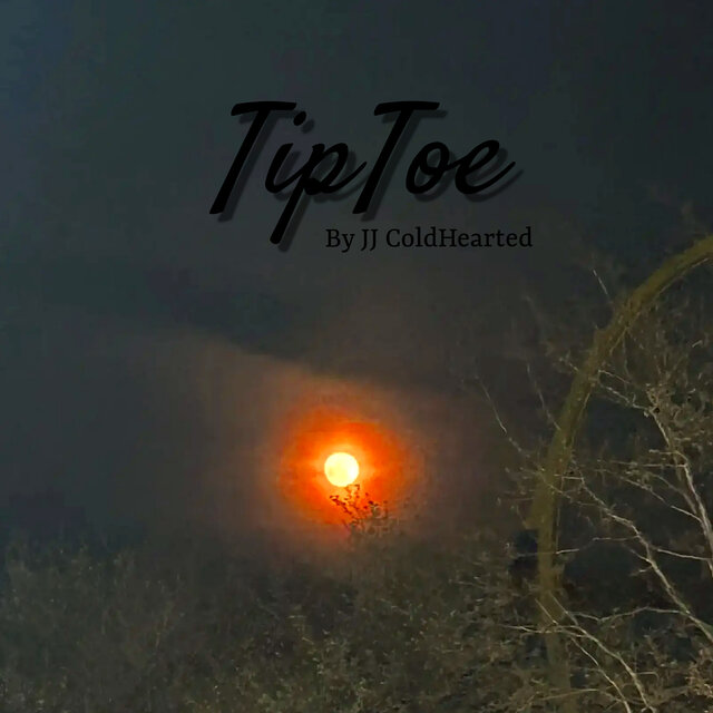 TipToe