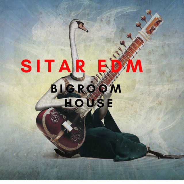 Sitar EDM