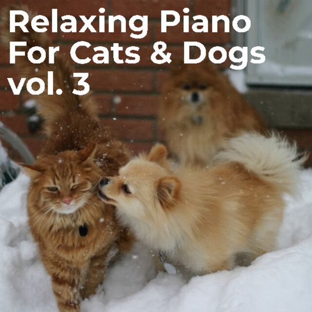 Relaxing Piano for Cats & Dogs Vol. 3