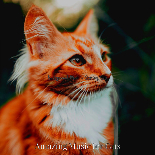 Background Music - Sleeping Cats