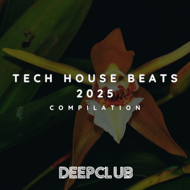 Tech House Beats 2025