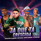 Já Que Tá Crescida