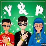 Y&P