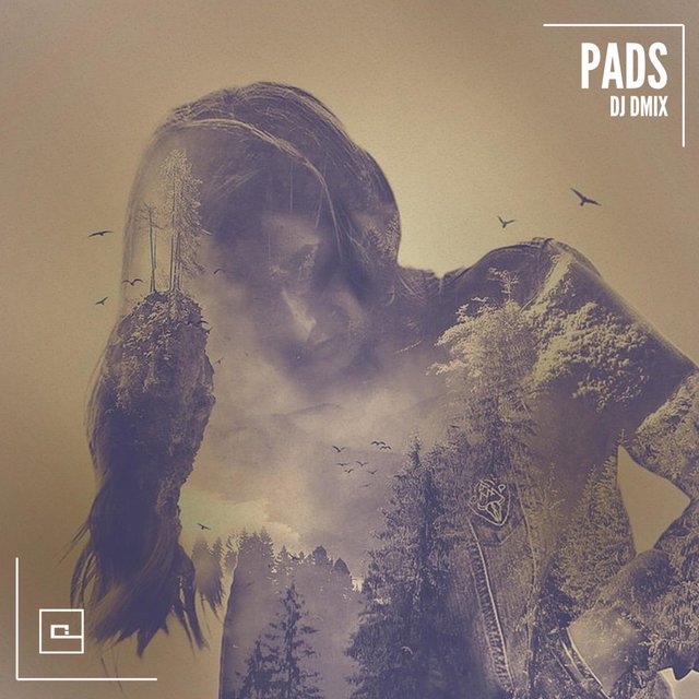 Pads