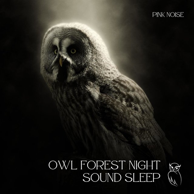 Owl Forest Night Sound Sleep, Relax (With Pink Noise), Loopable