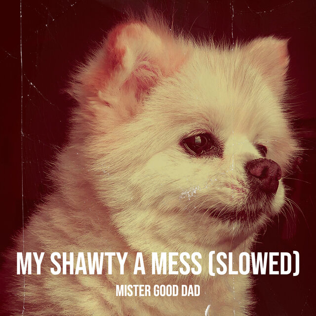 My Shawty a Mess (Slowed)