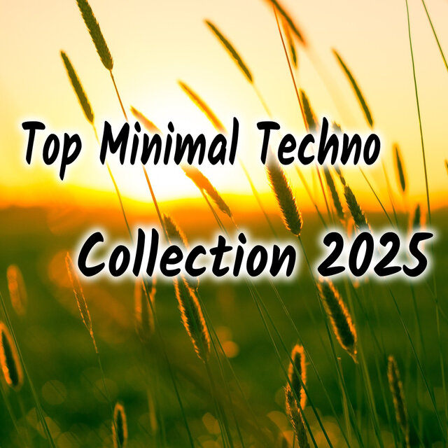 Top Minimal Techno Collection 2025