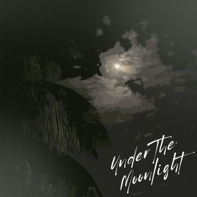 Under The Moonlight