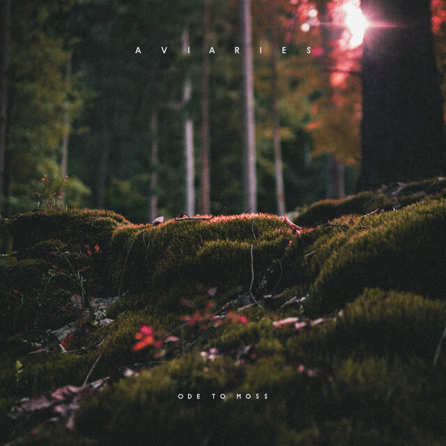Ode To Moss