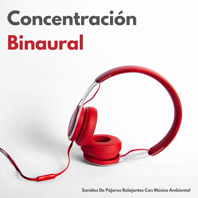 Concentración Binaural: Sonidos De Pájaros Relajantes Con Música Ambiental