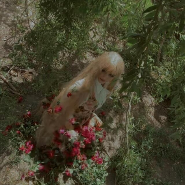 ROSES