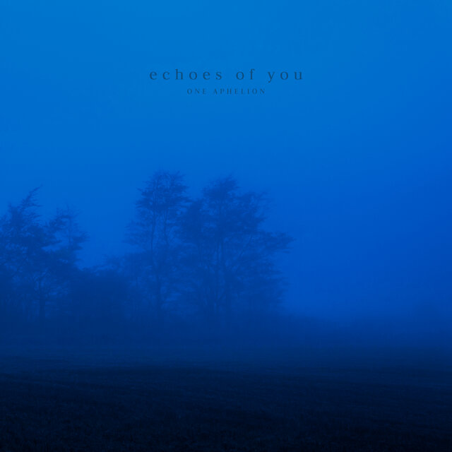 echoes of you (remixes)