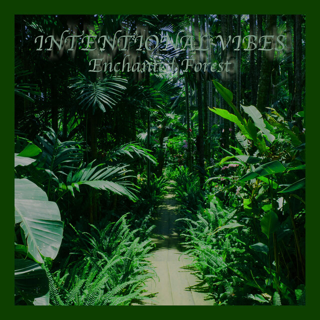 Enchanted Forest