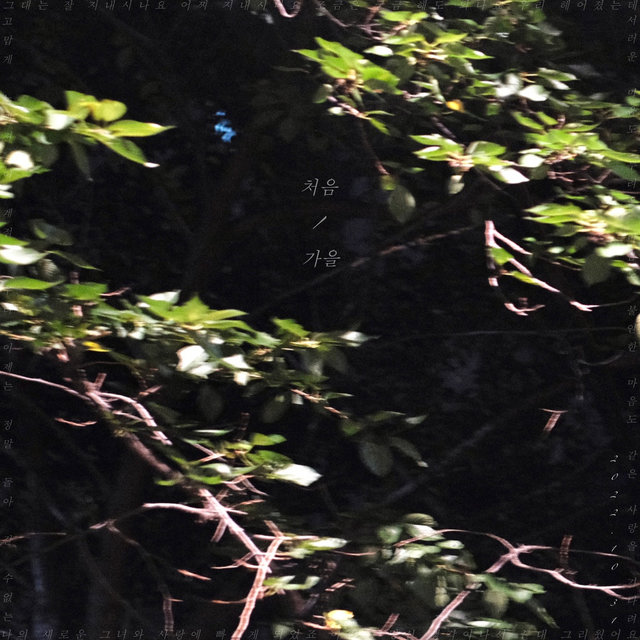 fall