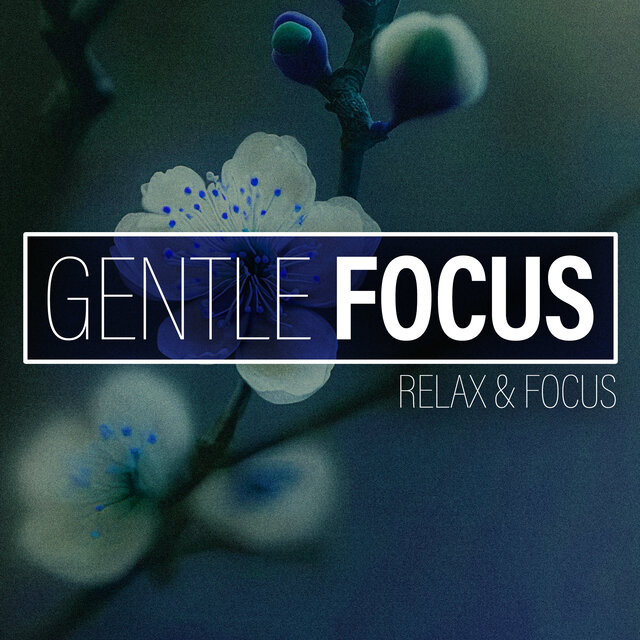 Gentle Focus