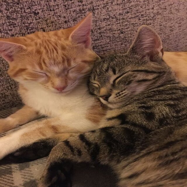 U and Me